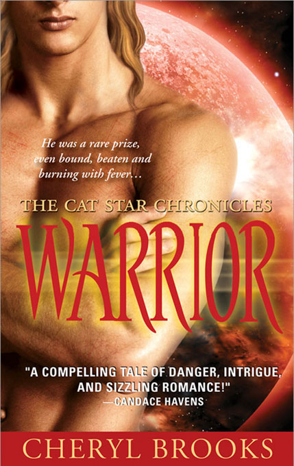 Title details for Warrior by Cheryl Brooks - Available